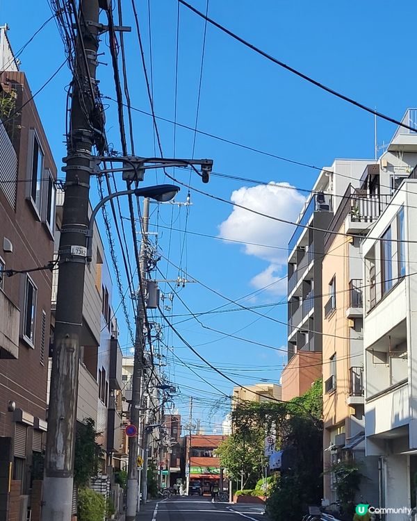 🇯🇵2026の日本生活日常