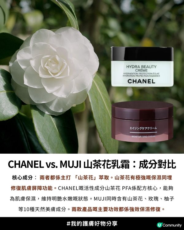 CHANEL平替爆紅MUJI山茶花乳霜😍💗成分80%相似！CP值極高小資女必入！✨