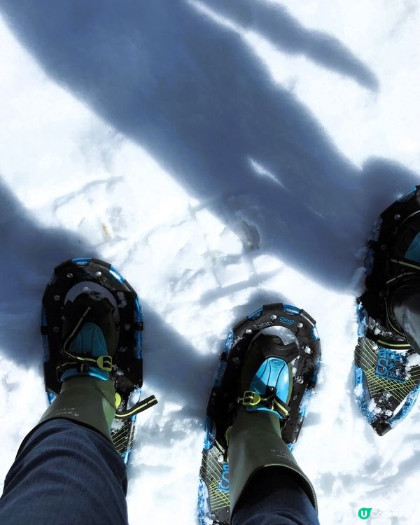 雪國美人林！夢幻銀世界 ❄️✨