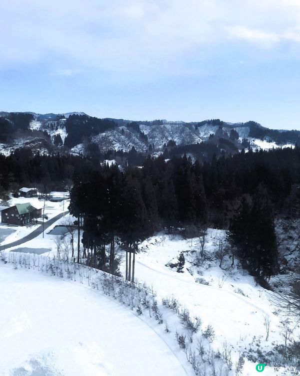 雪國美人林！夢幻銀世界 ❄️✨