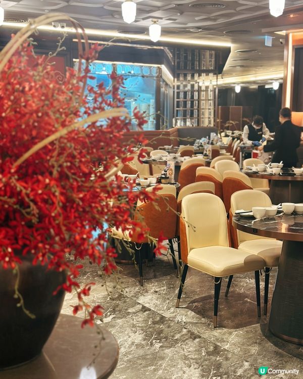樂天皇朝食到飽 😋🥢