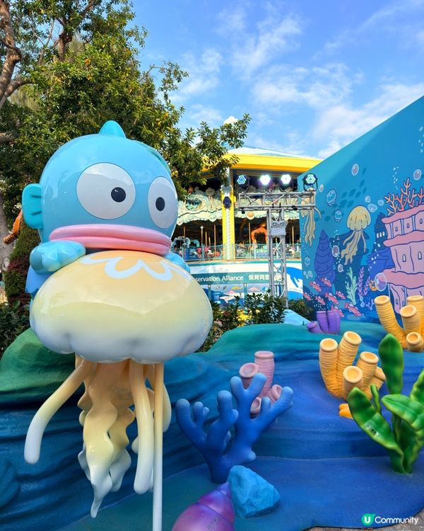 Sanrio Characters去左海洋公園