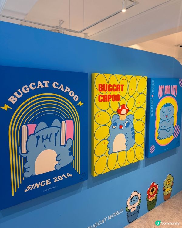 貓貓蟲咖波屋台北西門旗艦店開箱