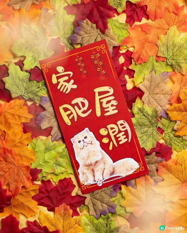 寵物都可以保佑你既馬年‼️