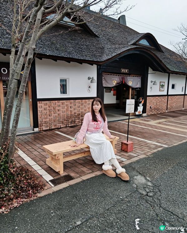 我的日本之旅大阪超人氣貓站長TAMA車站