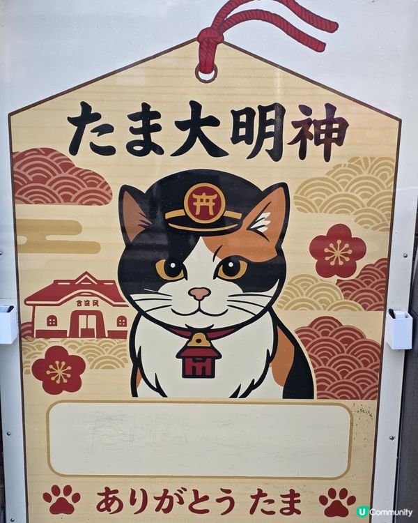 我的日本之旅大阪超人氣貓站長TAMA車站