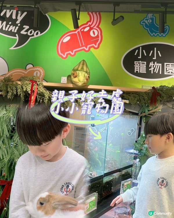 親子樂！動物近距離接觸 🐍🐰🐾