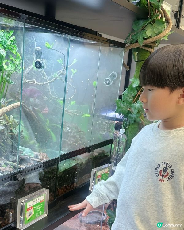 親子樂！動物近距離接觸 🐍🐰🐾