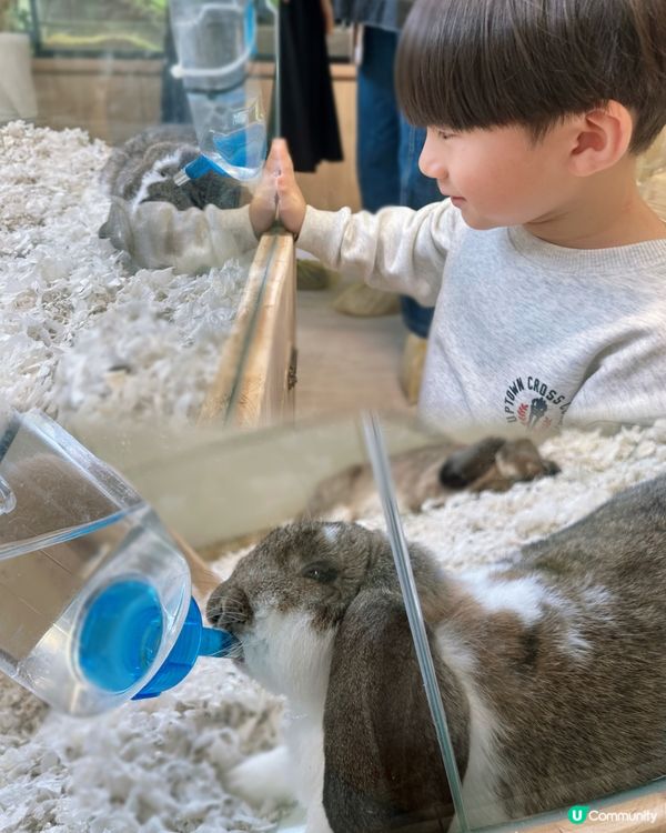 親子樂！動物近距離接觸 🐍🐰🐾