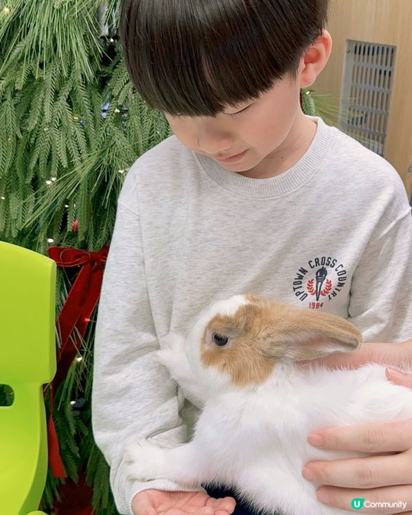 親子樂！動物近距離接觸 🐍🐰🐾