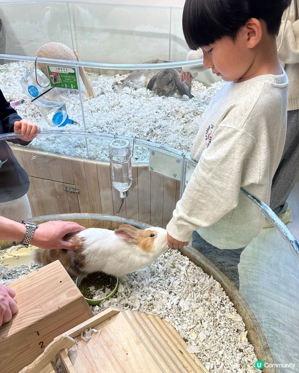 親子樂！動物近距離接觸 🐍🐰🐾