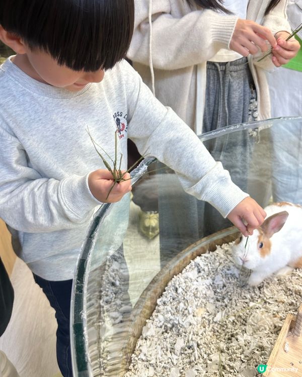 親子樂！動物近距離接觸 🐍🐰🐾