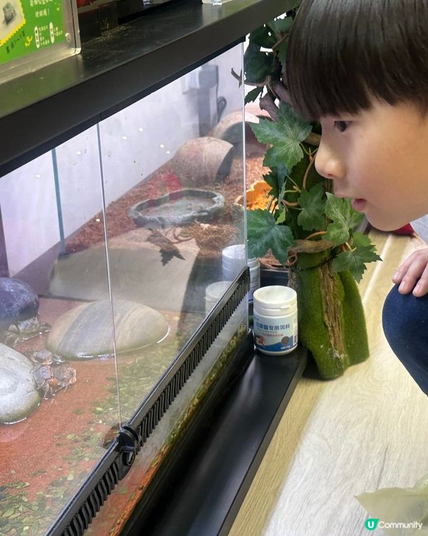 親子樂！動物近距離接觸 🐍🐰🐾