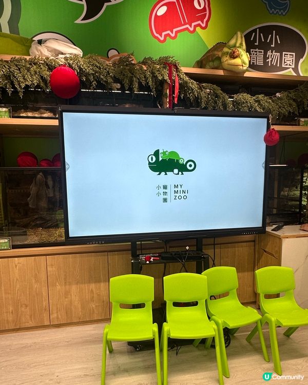 親子樂！動物近距離接觸 🐍🐰🐾