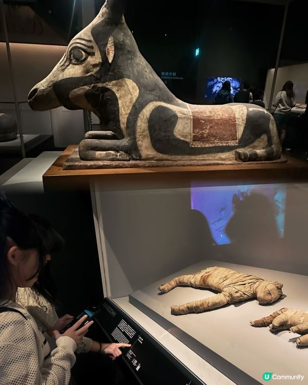 古埃及展覽！親子必去！🤩