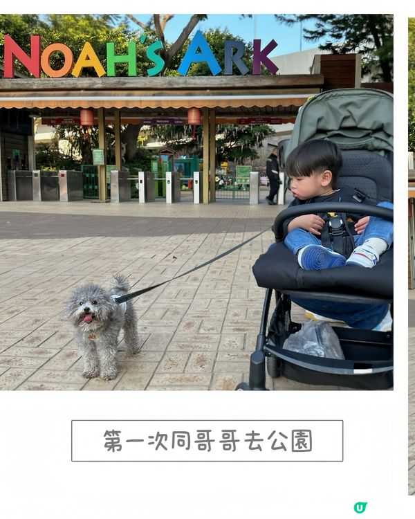 👶🏻嬰狗同行🐶 挪亞方舟
