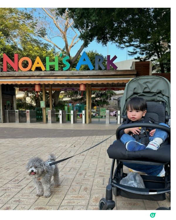 👶🏻嬰狗同行🐶 挪亞方舟