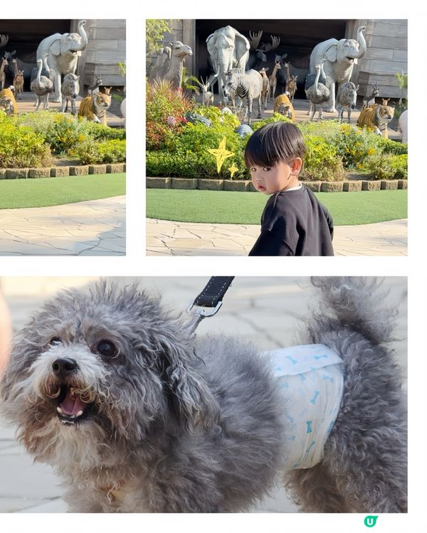 👶🏻嬰狗同行🐶 挪亞方舟 - 方舟花園+方舟博覽館