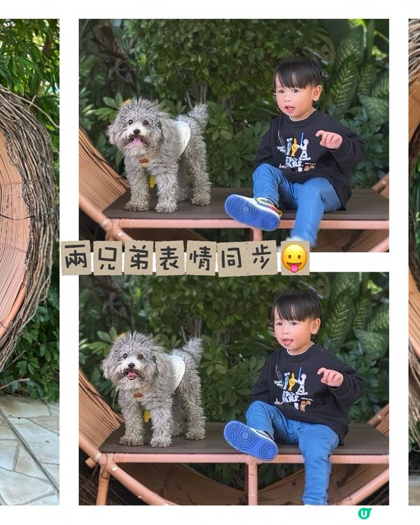 👶🏻嬰狗同行🐶 挪亞方舟 - 主廣場打卡靚位