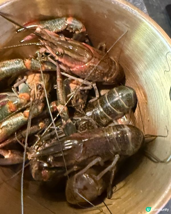 任飲任食$160元