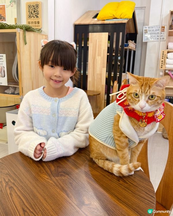 親子貓奴天堂！🐱貓之茶房