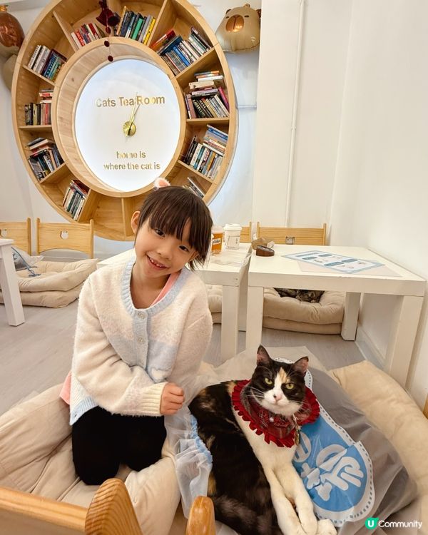 親子貓奴天堂！🐱貓之茶房
