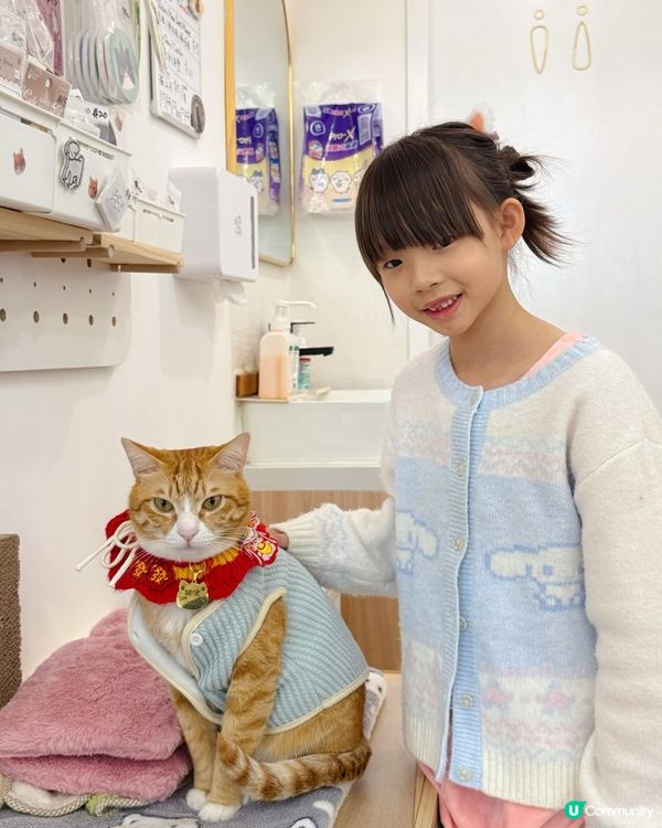 親子貓奴天堂！🐱貓之茶房
