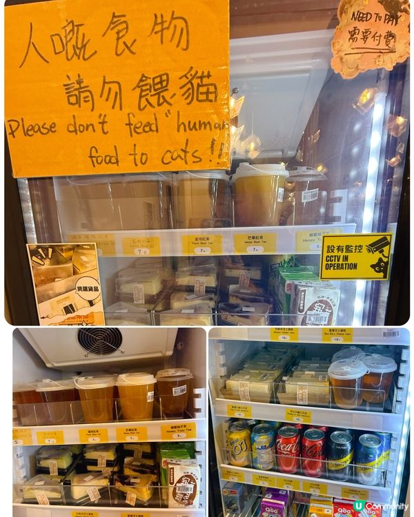 親子貓奴天堂！🐱貓之茶房