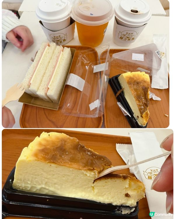 親子貓奴天堂！🐱貓之茶房