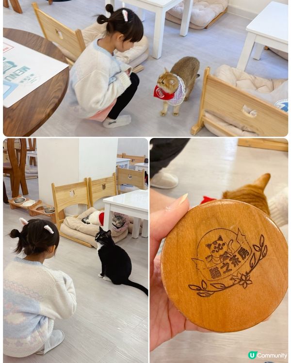親子貓奴天堂！🐱貓之茶房