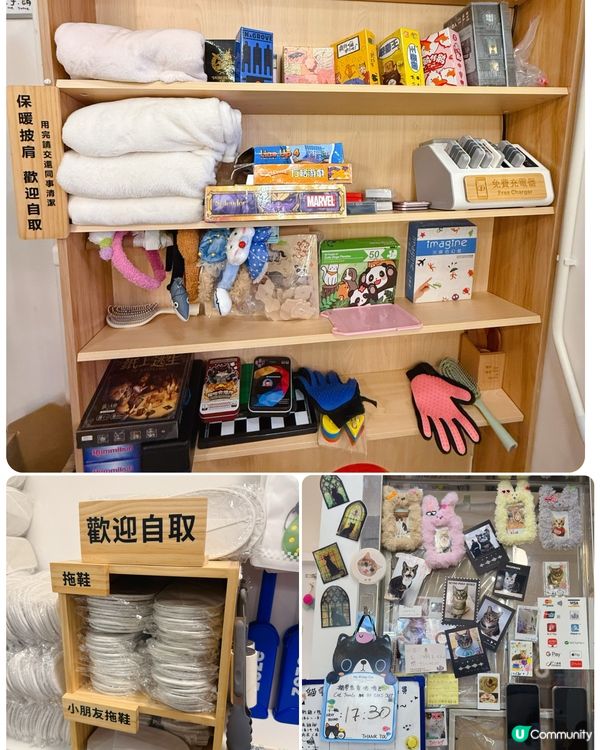 親子貓奴天堂！🐱貓之茶房