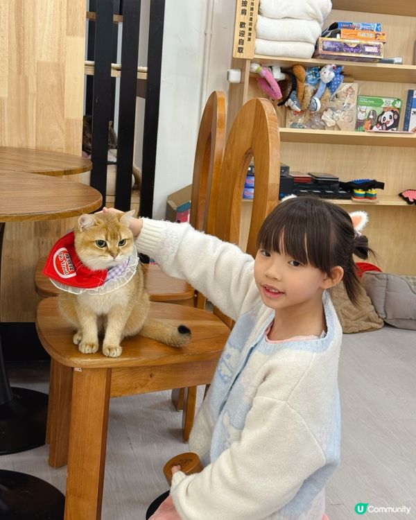 親子貓奴天堂！🐱貓之茶房