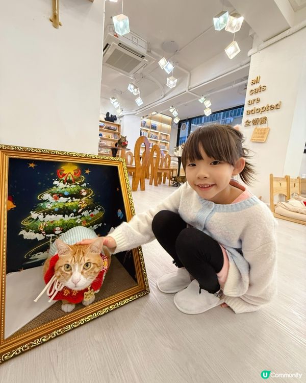 親子貓奴天堂！🐱貓之茶房