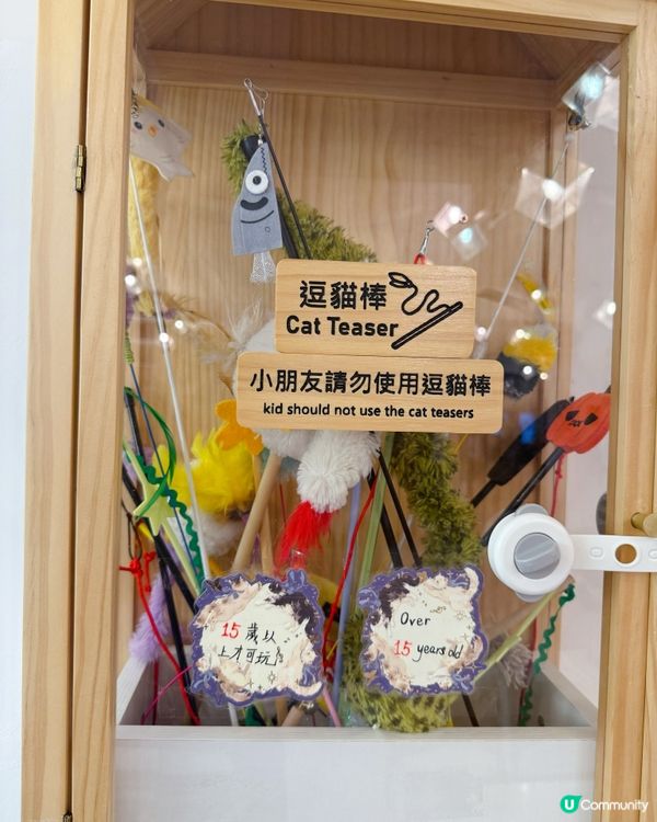 親子貓奴天堂！🐱貓之茶房