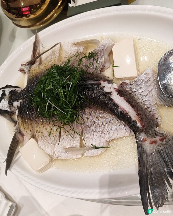 江門米芝蓮🌟楓林小館，必食推介！😋