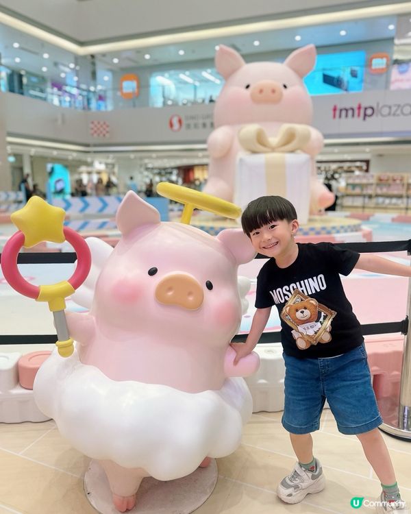 罐頭豬樂園！豬仔打卡必去！🐷✨