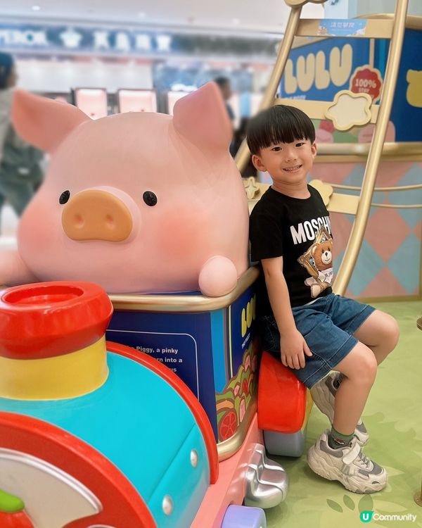 罐頭豬樂園！豬仔打卡必去！🐷✨