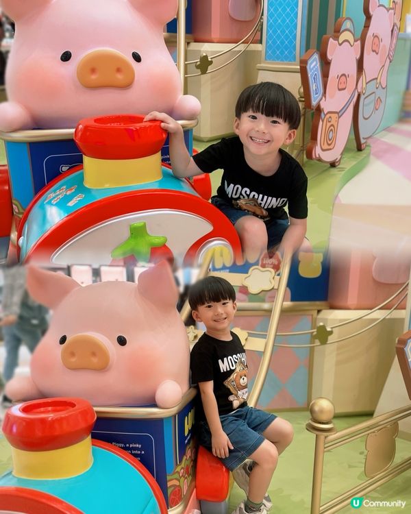 罐頭豬樂園！豬仔打卡必去！🐷✨