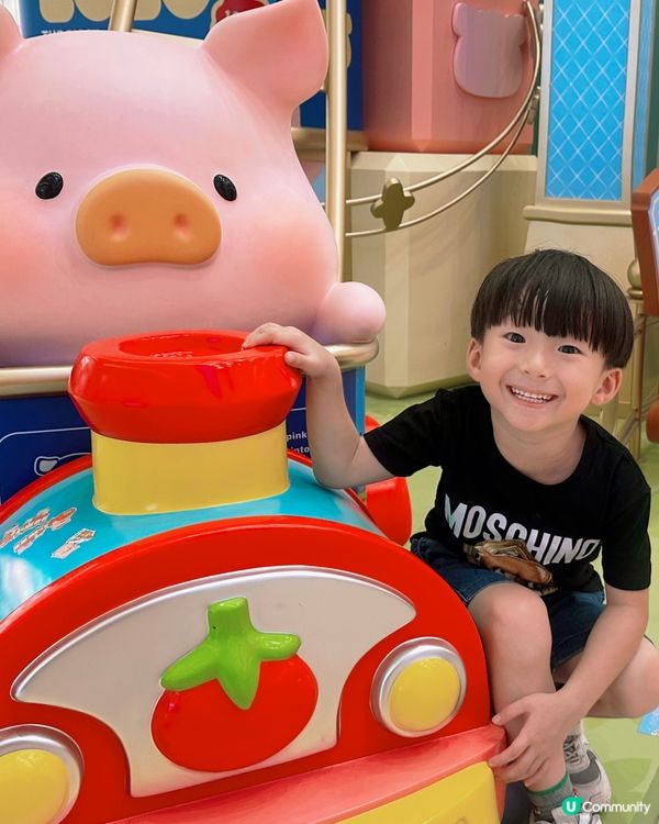 罐頭豬樂園！豬仔打卡必去！🐷✨