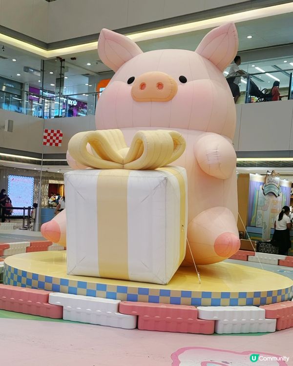 罐頭豬樂園！豬仔打卡必去！🐷✨