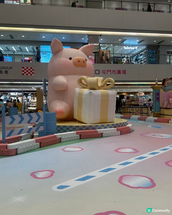 罐頭豬樂園！豬仔打卡必去！🐷✨