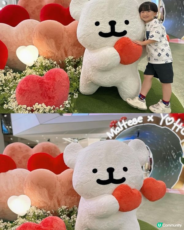 毛毛狗打卡位！🐶💖📸