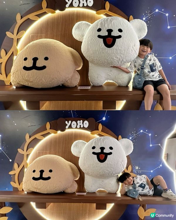 毛毛狗打卡位！🐶💖📸