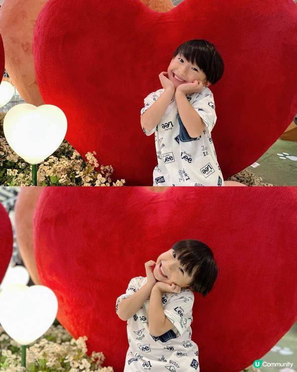 毛毛狗打卡位！🐶💖📸