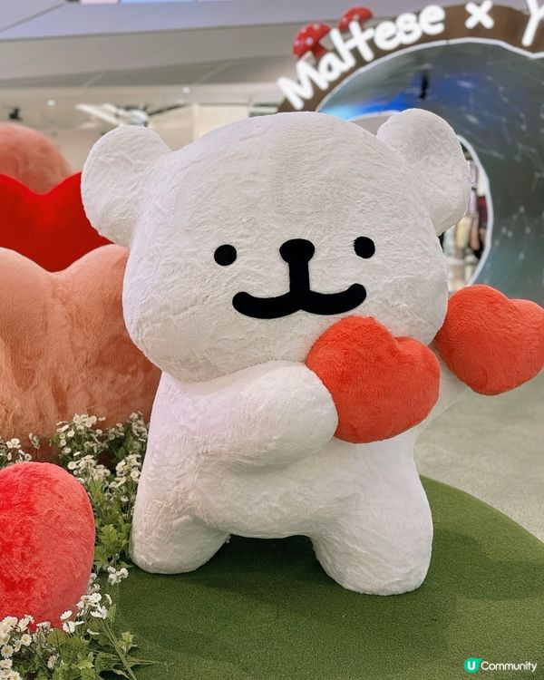 毛毛狗打卡位！🐶💖📸