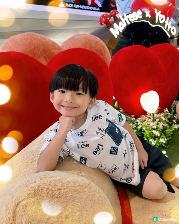 毛毛狗打卡位！🐶💖📸