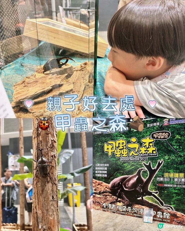 甲蟲館嚟喇！親子必去！🐞✨