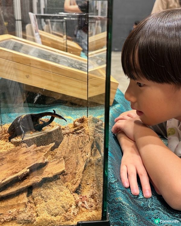 甲蟲館嚟喇！親子必去！🐞✨