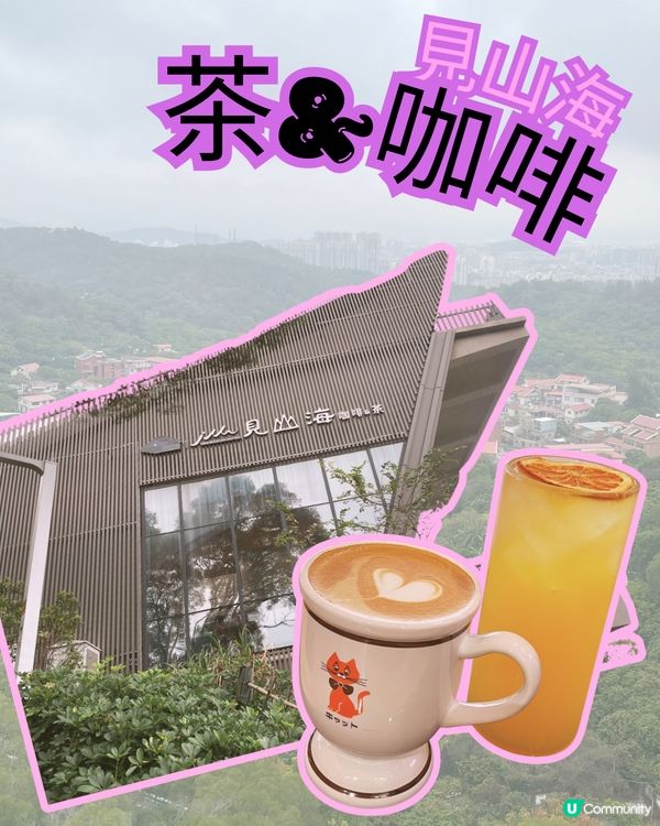 廈門見山海，佛系賞花海！🌸🌼