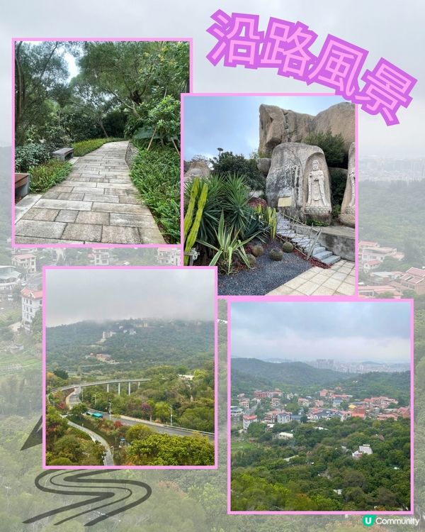 廈門見山海，佛系賞花海！🌸🌼